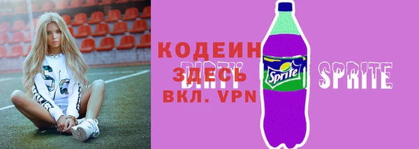 индика Медногорск