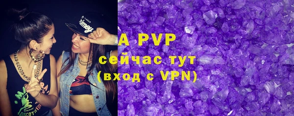 крисы Болхов