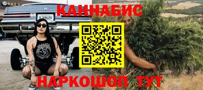 крисы Гагарин