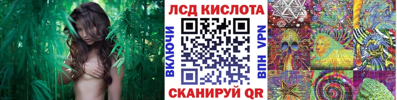 Марки N-bome 1,5мг  мега как войти  Избербаш 