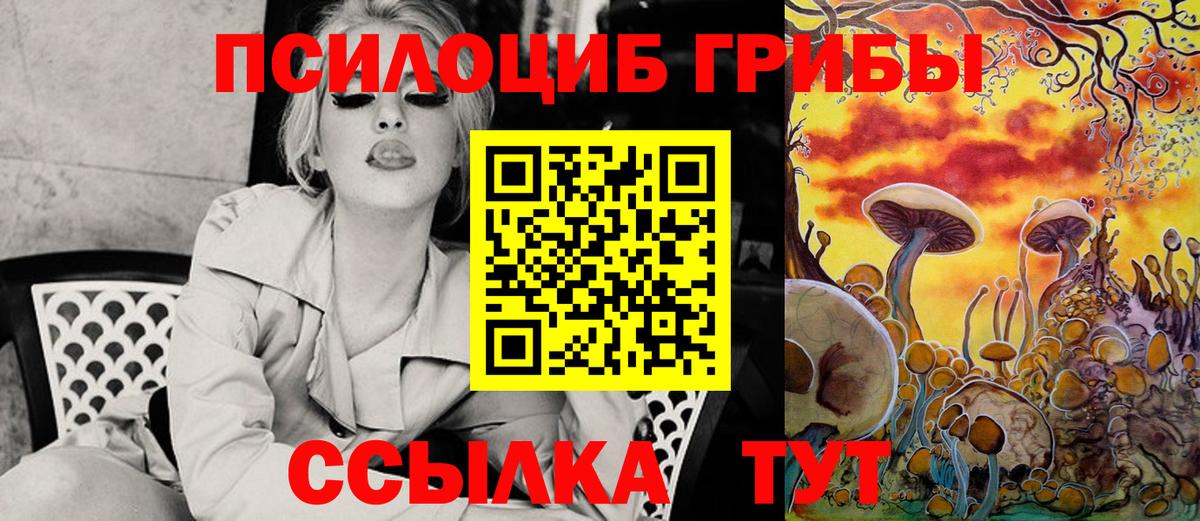 Псилоцибиновые грибы MAGIC MUSHROOMS  Избербаш  Псилоцибиновые грибы прущие грибы 