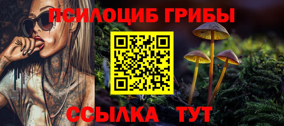 Псилоцибиновые грибы Psilocybine cubensis Избербаш