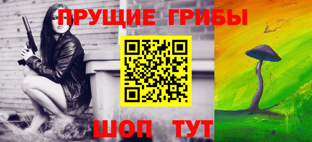 Избербаш  Псилоцибиновые грибы GOLDEN TEACHER  Галлюциногенные грибы Psilocybe  Вход с VPN 